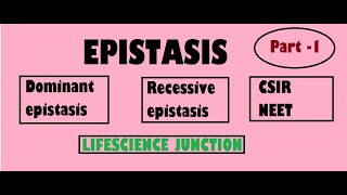 Epistasis I Dominant Epistatis I Simplest explaination I CSIR I NEET I Bsc I Msc [upl. by Debbra]