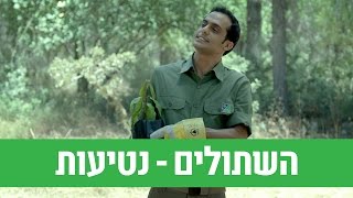 השתולים נטיעות  ניקלודיאון [upl. by Litta234]