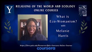 What is Ecowomanism With Melanie L Harris [upl. by Fruin]