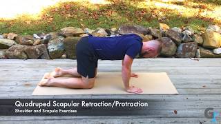 Quadruped Scapular Retraction and Protraction  Exercise Demonstration [upl. by Freida]