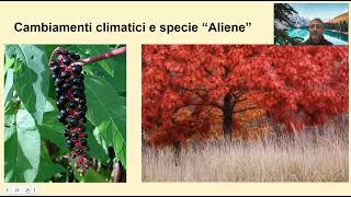 Effetti dei cambiamenti climatici e specie aliene [upl. by Notlimah]