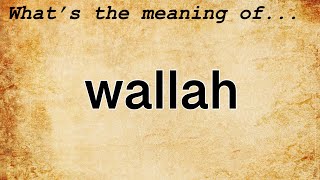 Wallah Meaning  Definition of Wallah [upl. by Mcnamara]