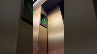 A Very Normal Otis Elevator Chime otiselevator [upl. by See]