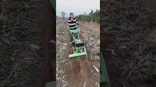 Micro tillage machine manufacturer Multifunction microtillage machine Fourwheel driveviralvideo [upl. by Raffin905]