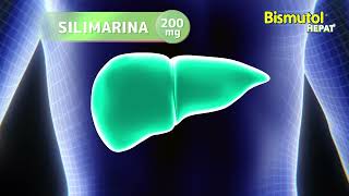 ¿Problemas de hígado graso  Bismutol Hepat [upl. by Regor989]