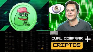 Cual Comprar MILADY MEME PEPE COIN 🚀🚀🚀 [upl. by Pinsky]