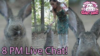 Giant Bunz  Flemish Giant Bunny Rabbit Stream  Live Chat  Day 91  20241011 [upl. by Alesiram682]