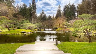 Walking Tour of Seattle Japanese Garden 🌷  Washington Park Arboretum  Seattle Walk 🚶 [upl. by Benioff]