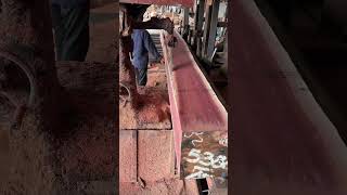 Saw shorts woodworkingart woodshop shortsvideo wood automobile woodworking tree power saw [upl. by Gwenni]