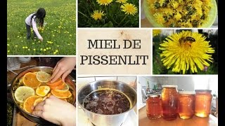 On prépare du Miel de Pissenlit [upl. by Motteo]