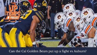 Can the Cal Golden Bears put up a fight vs Auburn [upl. by Celestia]