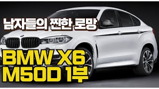 BMW X6 M50 자동차 실차주 인터뷰 1편 [upl. by Ahsiakal]