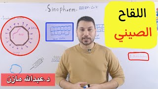 Sinopharm Vaccine ببساطة شرح الية عمل وتركيبة اللقاح الصيني [upl. by Enaud153]