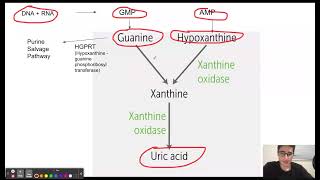 Lesch Nyhan Syndrome Mnemonic [upl. by Ira928]