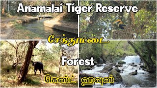 ANAMALAI TIGER RESERVE  TOP SLIP  SETHUMADAI GUEST HOUSE  PARAMBIKULAM TIGER RESERVE  POLLACHI [upl. by Claus]