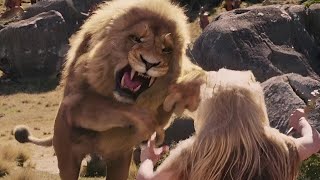 The chronicles of Narnia Lion Vs witch full movie explained in hindi Movie Point [upl. by Jerrie149]