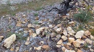 Digging Tourmaline In The Snow  Plumas County California [upl. by Animehliw]