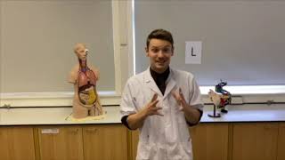 Ashington Academy Virtual open evening  Welcome to science [upl. by Bill]