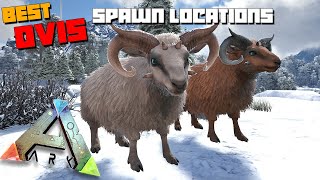 ARK The Island  OVIS Spawn Locations  Best Spots Where To Find Mutton [upl. by Kahle309]