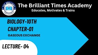 Lecture 4 Gaseous Exchange in Humans The Air Passageway Biology10th CH01Gaseous Exchange [upl. by Dadinirt723]