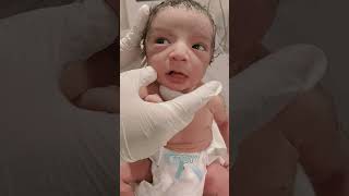 Only for new borns viralvideo littleprince newbornbaby mylittleprince [upl. by Nnyleve159]