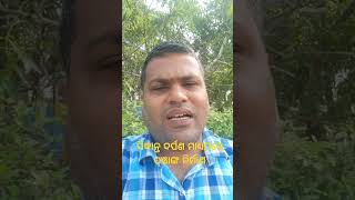 Odia Panji । Odia Panchanga । Samanta Chandra Shekhar shorts shortsviral [upl. by Lenes267]