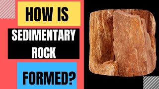 How Are Sedimentary Rocks Formed Weathering Erosion Deposition Compaction Cementation [upl. by Eitisahc820]