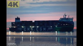 CMA CGM MERMAID  Shipspotting Germany 🇩🇪 IMO 9961283  River Elbe near City Otterndorf  4K VIDEO [upl. by Annoyed316]