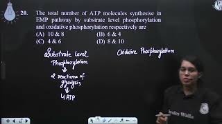 The total number of ATP molecules synthesise in EMP pathway by substrate level phosphorylation a [upl. by Siuqaj]