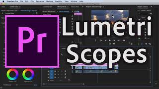 How to UseRead Lumetri Scopes in Premiere Pro CC 2020 [upl. by Aliahs]