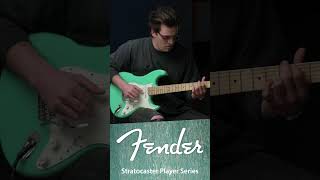 Fender Stratocaster Player Series Demo shorts [upl. by Kirrad517]