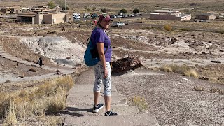 Route 66  Petrified Forest  Painted Desert [upl. by Barris728]