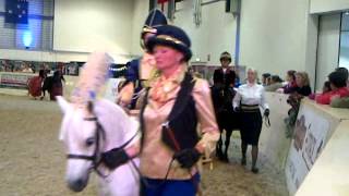 Equifest Concours DElegance [upl. by Dnalhsa]