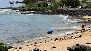 Lawai Beach quotSnorkel Spotquot in Poipu southshore Kauai Live March 25 [upl. by Ainoz890]