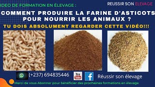 Comment Produire la farine dasticots pour nourrir les animaux  comment fabriquer laliment [upl. by Toombs692]