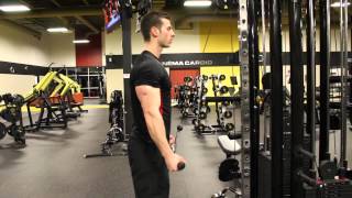 Reverse grip EZ Bar pushdown [upl. by Krawczyk]