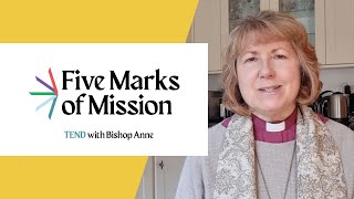 With Bishop Anne  Five Marks of Mission  Tend [upl. by Bernardo818]