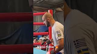 Marios Kollias ringwalk against Tamaz Izoria on Elite Boxing 🇫🇮🥊 MariosKollias Greece ringside [upl. by Eiramac]