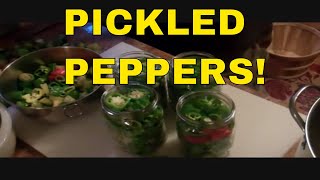 Pickled Prepper Peppers [upl. by Aikrehs8]