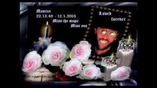 In Memory of Maurice Gibb Immortality [upl. by Knick]