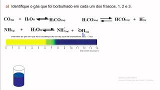 Unifesp 2022  Questão 08  Química Analise a imagemIntervalo de pH em que há a mudança de cor [upl. by Yrtsed]