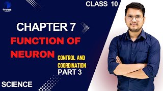 CLASS 10 SCIENCE CHAPTER 7 Control and Coordination PART 3 [upl. by Hales]