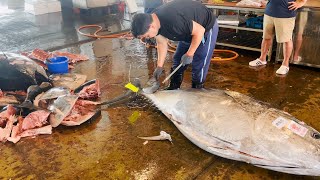 黑鮪鱼切割艺术：从头到尾详解quotquotThe Art of Cutting Blackfin Tuna A Full Breakdown from Start to Finishquot [upl. by Ennaeus]