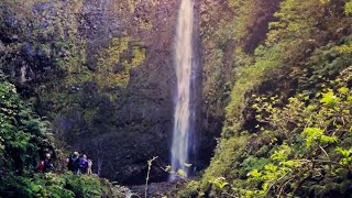 Walking Madeira  quotCaldeirão Verdequot levada walk [upl. by Rosenzweig]