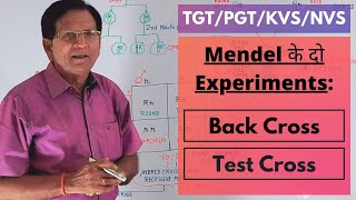 Mendels Two Experiments Back Cross amp Test Cross  TGTPGTKVSNVS [upl. by Eanert]