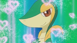 Snivy AMV  Queen Loren Gray [upl. by Adihsaar]