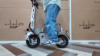 Electric Scooter WEPED miniGO Suspension  대리운전 미니고 서스펜션 [upl. by Oryaj]