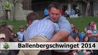 Ballenbergschwinget 2014 [upl. by Ahteral]