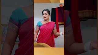 PunnagaiPoove SunTV shorts tamilserial [upl. by Aubrey183]