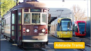 Adelaide Trams Full Overview and Exploration [upl. by Lydia]